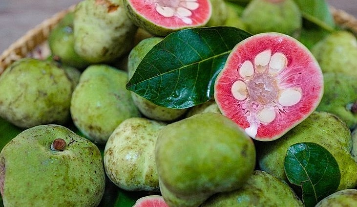 quả chay là một trong những loại quả được cửa hàng bán khá chạy.