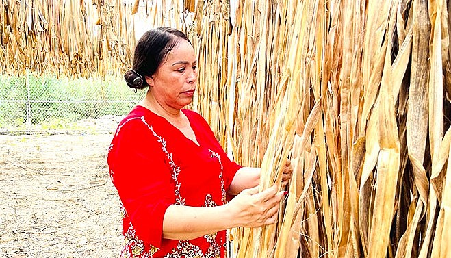 Bà Trần Thị Vỹ kiểm tra quá trình phơi khô của bẹ chuối. Bà Trần Thị Vỹ kiểm tra quá trình phơi khô của bẹ chuối.