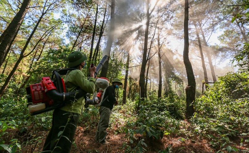 sau khi sâu xuất hiện đơn vị đã chủ động tiến hành phun phòng trừ sâu. sau khi sâu xuất hiện đơn vị đã chủ động tiến hành phun phòng trừ sâu.