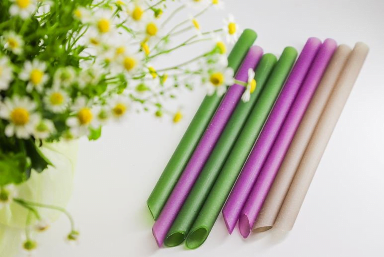 5 loại ống hút tự nhiên bảo vệ môi trường mà bạn nên biết