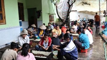 Nhãn chính vụ giá rẻ, tại sao các hộ làm long nhãn ở Điện Biên lại kém vui?