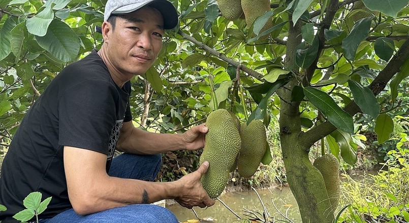 Nhiều người tìm đến oogn Khang để mua giống