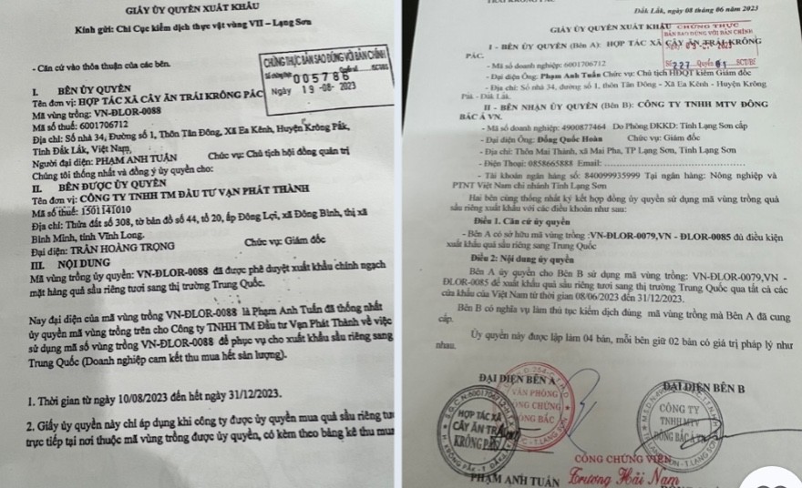 Xuất hiện các giấy ủy quyền Xuất hiện các giấy ủy quyền