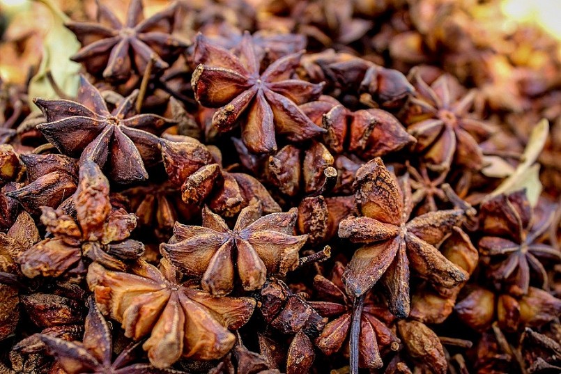 Hoa hồi xuất khẩu tăng đột biến Hoa hồi xuất khẩu tăng đột biến