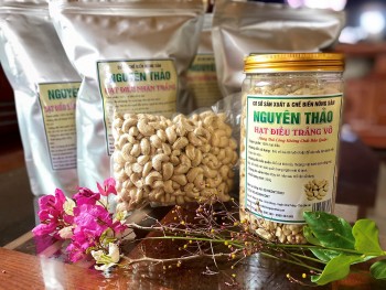 Hạt điều Nguyên Thảo – Món quà thuần khiết từ vùng đất đỏ Gia Lai