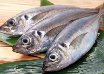 Những thực phẩm cần kiêng khi mang thai