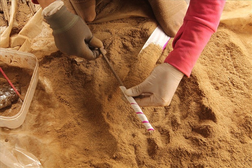 Làng nghề làm hương bài nổi tiếng Hải Phòng Làng nghề làm hương bài nổi tiếng Hải Phòng