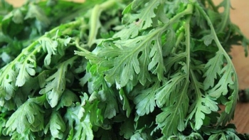 Lợi ích của rau cải cúc đối với sức khỏe