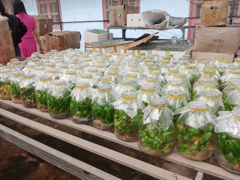 Đoàn công tác của Hội Khoa học các sản phẩm thiên nhiên Việt Nam tham quan mô hình sản xuất Curcumin và mô hình Nông Lâm tiêu biểu Đoàn công tác của Hội Khoa học các sản phẩm thiên nhiên Việt Nam tham quan mô hình sản xuất Curcumin và mô hình Nông Lâm tiêu biểu