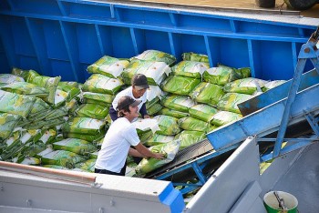 Xuất siêu nông, lâm, thủy sản tăng gần 34%