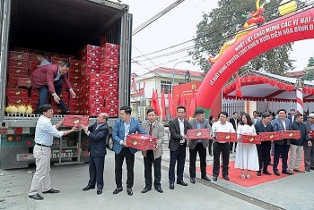 Bưởi Diễn trồng ở Hòa Bình lần đầu xuất khẩu sang Hoa Kỳ