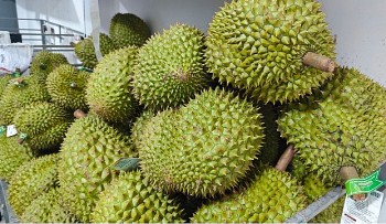 EU đưa sầu riêng và 2 mặt hàng khác của Việt Nam vào diện kiểm soát