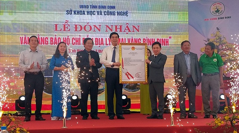 Đại diện Cục Sở hữu trí tuệ trao Văn bằng chỉ dẫn địa lý mai vàng Bình Định cho ông Lâm Hải Giang, Phó Chủ tịch UBND tỉnh Bình Định. Đại diện Cục Sở hữu trí tuệ trao Văn bằng chỉ dẫn địa lý mai vàng Bình Định cho ông Lâm Hải Giang, Phó Chủ tịch UBND tỉnh Bình Định.