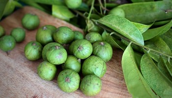 Bài thuốc chữa bệnh từ cây sấu