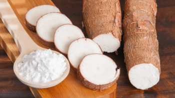 Bài thuốc dân gian từ sắn dây trị nhiều bệnh hiệu quả