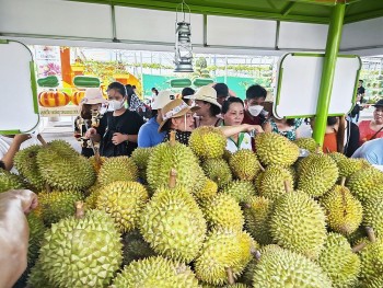 Xuất khẩu sầu riêng tiếp tục được kỳ vọng tăng trưởng mạnh vì lợi thế này