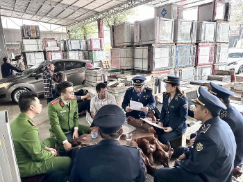 Thanh Hóa: Phát hiện doanh nghiệp kinh doanh vật liệu xây dựng nhập lậu, hết hạn sử dụng