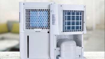 Máy hút ẩm không khí: Khi nào cần sử dụng và cách sử dụng hiệu quả?