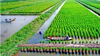 Triển khai các mô hình canh tác thuận thiên để tạo nên những sản phẩm nông nghiệp đặc thù chất lượng cao