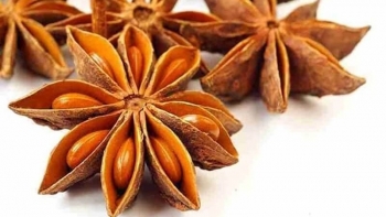 Việt Nam còn nhiều dư địa cho phát triển các sản phẩm gia vị