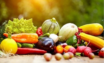 Tăng cường xúc tiến cho nông sản Việt Nam tại Ấn Độ