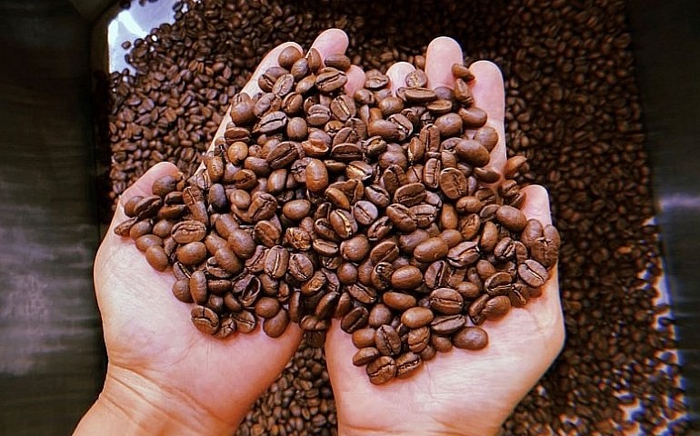 Tuyển chọn cà phê Arabica ngon nhất Việt Nam giữa lúc giá cà phê “nóng bỏng tay” Tuyển chọn cà phê Arabica ngon nhất Việt Nam giữa lúc giá cà phê “nóng bỏng tay”