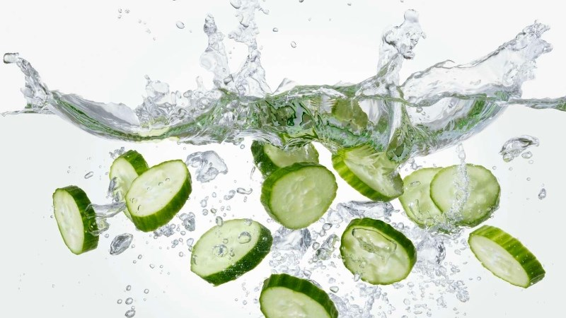 Cây Dưa leo - Dược liệu cho mùa hè Cây Dưa leo - Dược liệu cho mùa hè