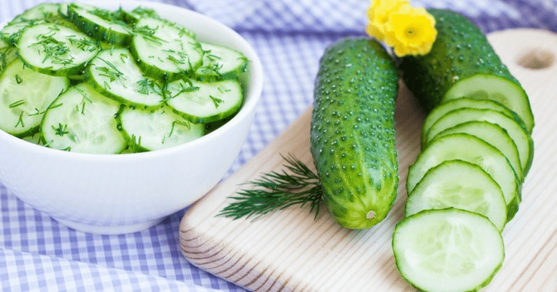 Cây Dưa leo - Dược liệu cho mùa hè Cây Dưa leo - Dược liệu cho mùa hè