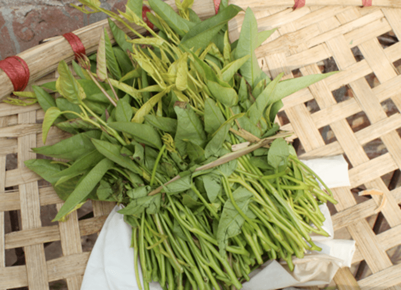 Hình ảnh rau muống tiến vua Sen Chiểu - Phúc Thọ Hình ảnh rau muống tiến vua Sen Chiểu - Phúc Thọ