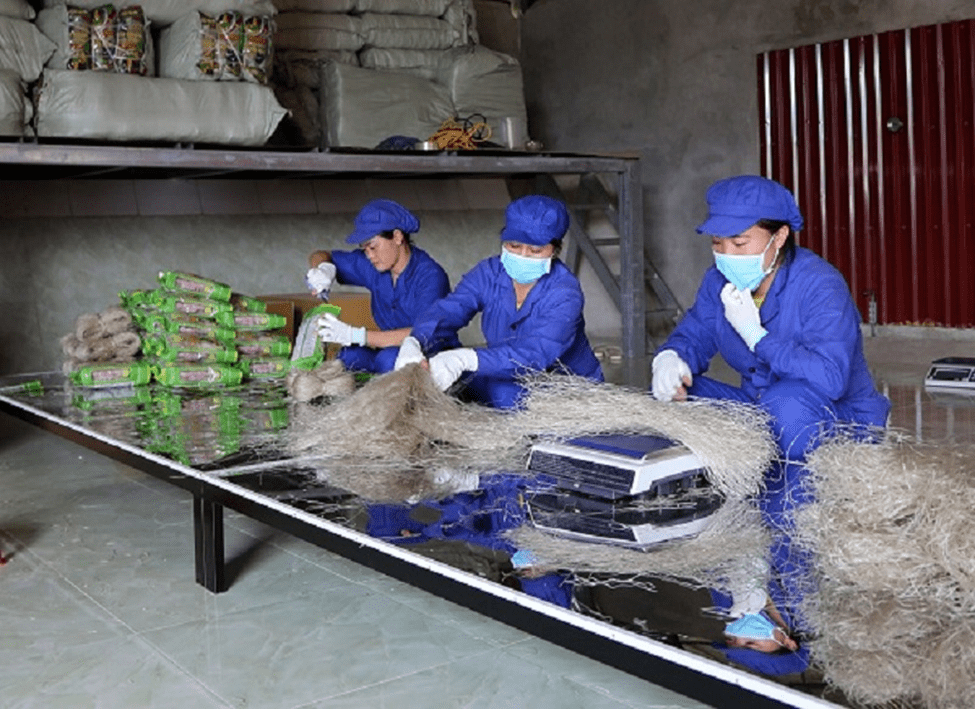 Quy trình đóng gói miến dong Quy trình đóng gói miến dong