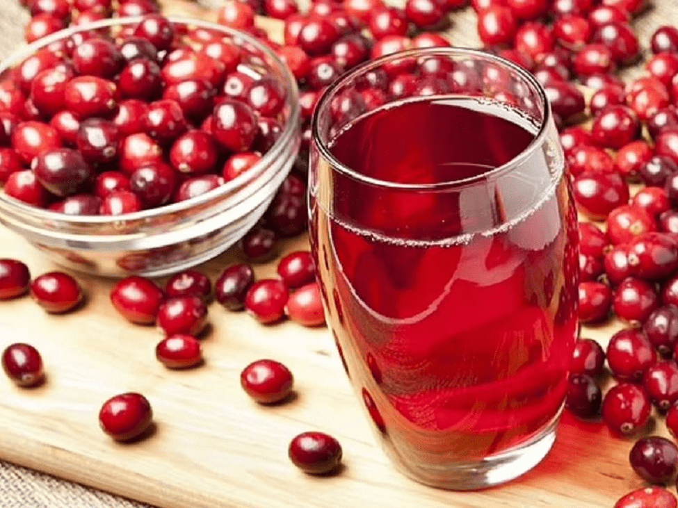 Quả nam việt quất giúp tăng cường hệ miễn dịch Quả nam việt quất giúp tăng cường hệ miễn dịch