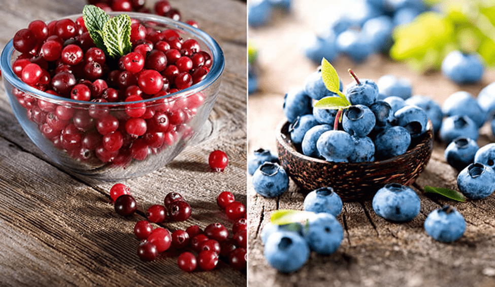 Quả nam việt quất và quả việt quất Quả nam việt quất và quả việt quất