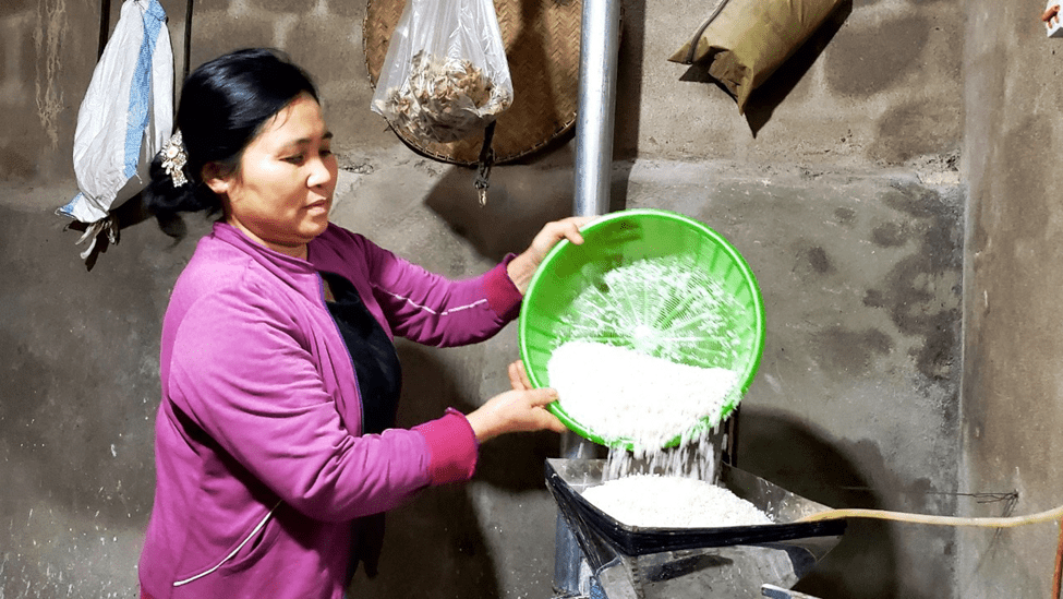 Nghiền gạo nếp để làm chè lam Nghiền gạo nếp để làm chè lam