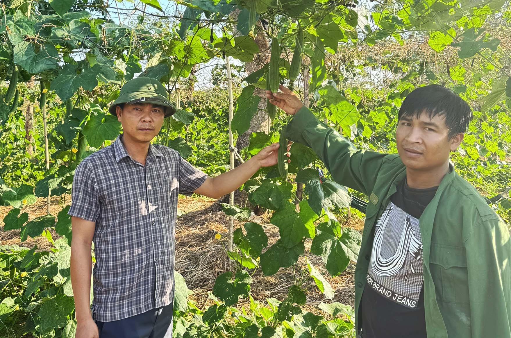 Độc đáo các sản phẩm thời trang, hữu ích từ xơ mướp Độc đáo các sản phẩm thời trang, hữu ích từ xơ mướp