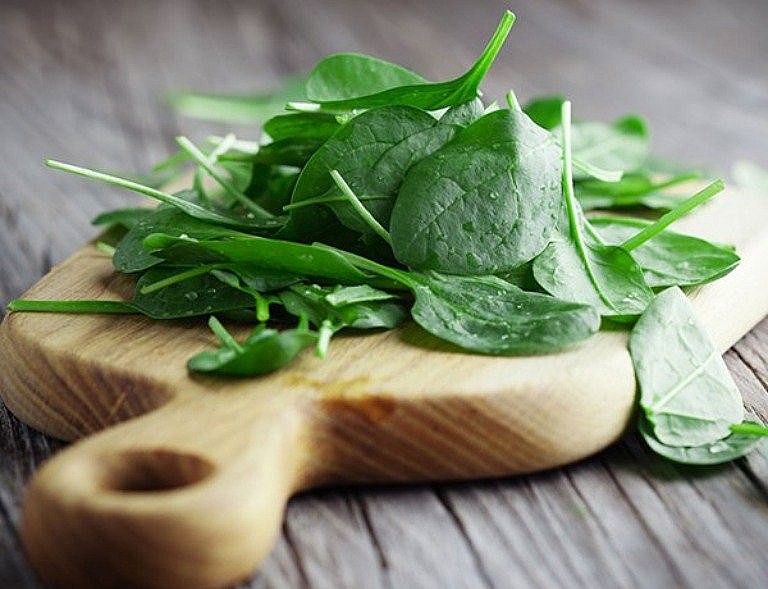 Rau mồng tơi tăng sữa cho sản phụ sau sinh Rau mồng tơi tăng sữa cho sản phụ sau sinh