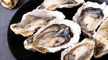 Vì sao ăn hàu lại tăng cường sinh lực nam giới?