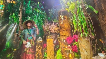 15 quốc gia tham gia Lễ hội Sâm và hương liệu, dược liệu quốc tế TP.HCM 2024