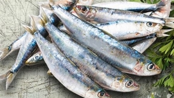 Cá mòi biển giúp giảm nguy cơ mắc bệnh tim