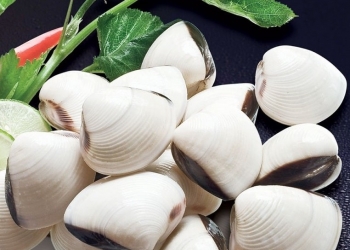 Ngao giúp chống phù nề