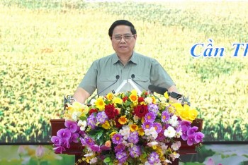 Thủ tướng Phạm Minh Chính: Phải "thổi sức sống mới" vào ngành nông nghiệp