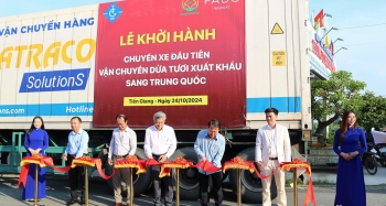 Tiền Giang xuất khẩu gần 70 tấn dừa tươi chính ngạch sang Trung Quốc