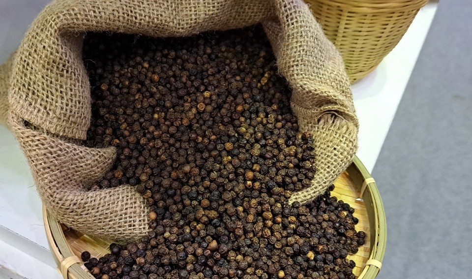 Giá tiêu đầu giờ sáng nay tăng 500 - 1.000 đồng/kg. Giá tiêu đầu giờ sáng nay tăng 500 - 1.000 đồng/kg.