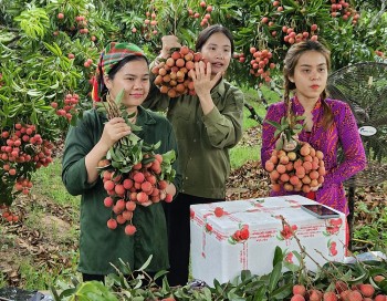 Để hàng Việt “cất cánh” trên môi trường số