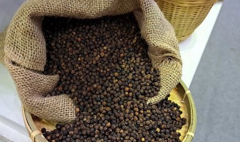 Hồ tiêu bước vào chu kỳ tăng giá mới