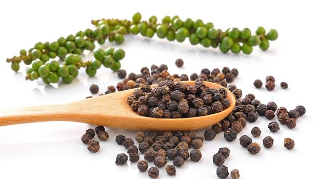 Giá hồ tiêu tăng thêm 500 đồng/kg tại Gia Lai, hướng tới mốc kỷ lục mới Giá hồ tiêu tăng thêm 500 đồng/kg tại Gia Lai, hướng tới mốc kỷ lục mới