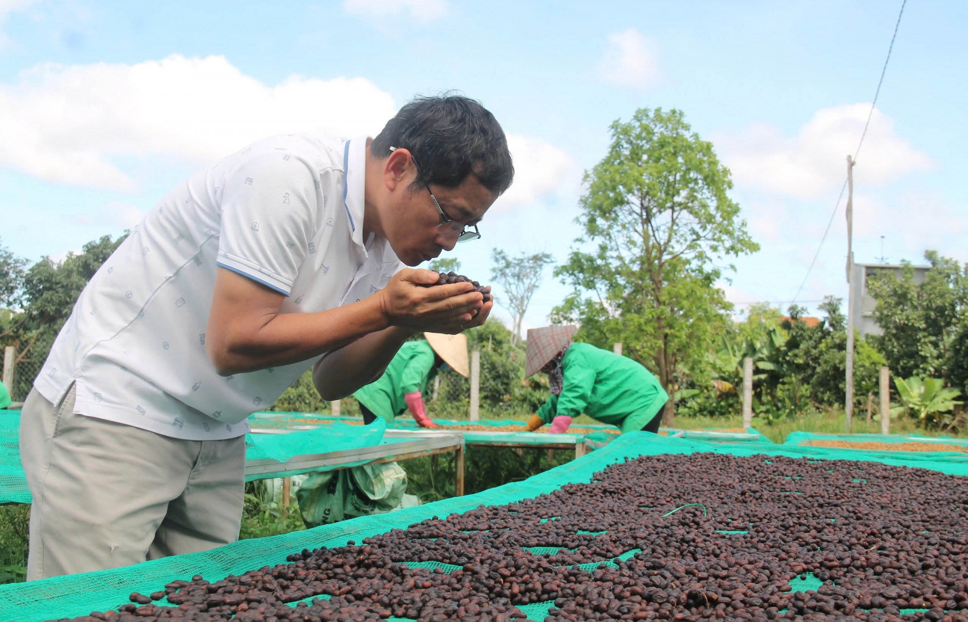 Cà phê đặc sản Việt Nam khẳng định vị thế trên thị trường quốc tế Cà phê đặc sản Việt Nam khẳng định vị thế trên thị trường quốc tế