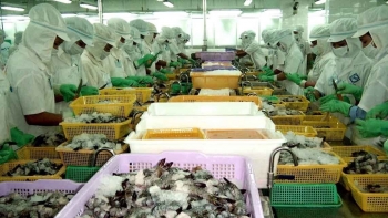 Tạo động lực để xuất khẩu tôm đạt mục tiêu tăng trưởng trong năm 2025