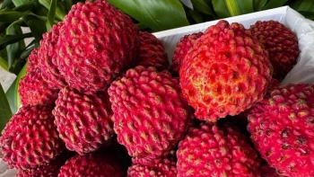 Vải thiều Úc gần 6 triệu đồng/hộp vẫn đắt khách dịp Tết