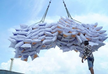 Dự báo giá gạo xuất khẩu của Việt Nam khi Ấn Độ có khả năng tung lượng lớn gạo ra thị trường