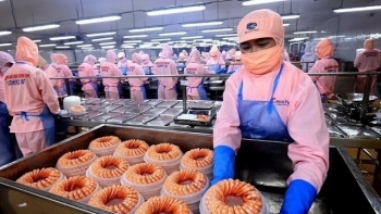 Anh gia nhập CPTPP, trợ lực giúp tôm Việt sang Anh thuận lợi